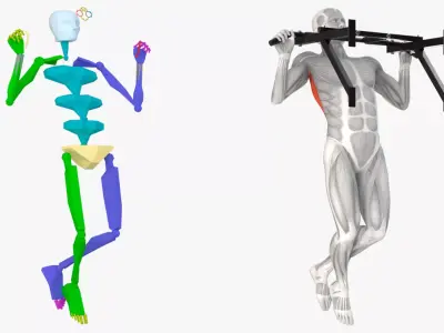 Male Muscular System Pull-up Animated Rigged for Cinema 4D 3D model purchase