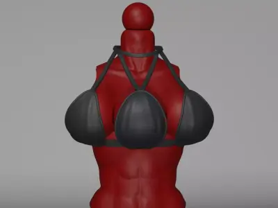 Triple Legion Body Part and Clothing 3D print model