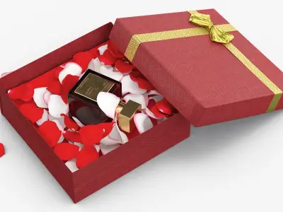 Baccarat Rouge 540 Extrait Perfume Gift Box with Rose Petals 3D model