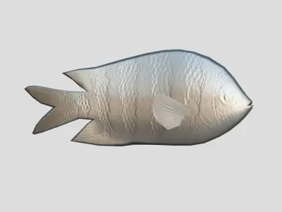 sergeant fish Low-poly 3D model purchase