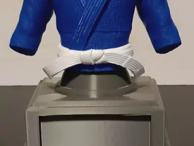 Jiu-Jitsu Judo Karate Gi Trophy  Customizable Belt Colors 3D print model