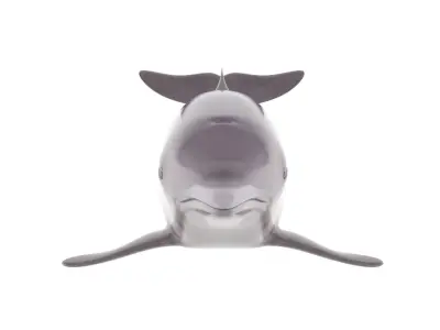 Dolphin toy 3D model