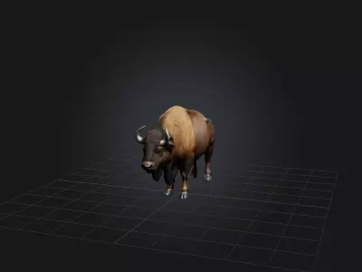 Realistic Bison Model Low-poly 3D model