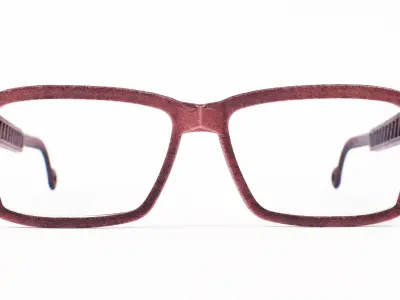 Rise eyewear Free 3D print model