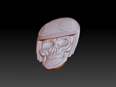 Bas-relief of anatomically correct skull in a motorcycle helm 3D print model