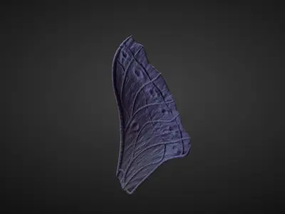 WING37 high poly sculpt 3D model
