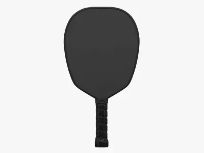 Pickle Ball Paddle 3D model