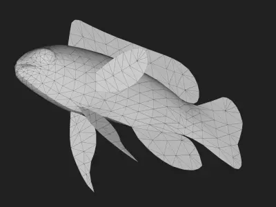 Grammidae Low-poly 3D model