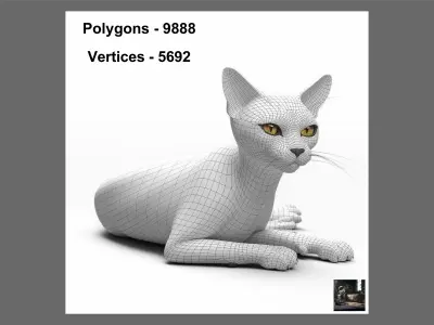Cat 1 3D model
