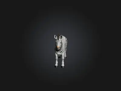 Realistic Zebra Model Low-poly 3D model purchase