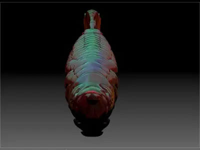 Dragon Fish Free 3D print model