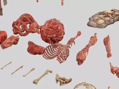 Horror Assets - Human Corpses Body Part Collection X3 Pack  Low-poly 3D model