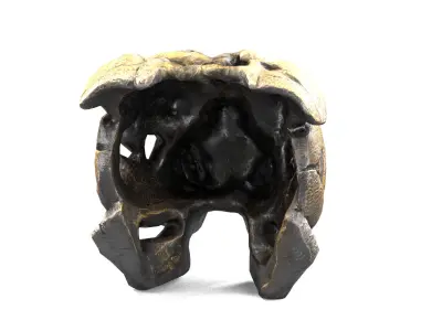 Bulldog  Bust Edge Decor Bust Low-poly 3D model