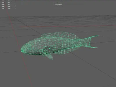Wrasse Low-poly 3D model 11