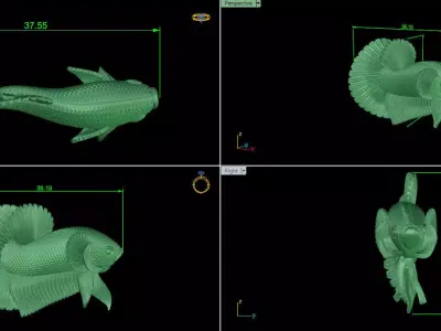 fish beta 3D print model
