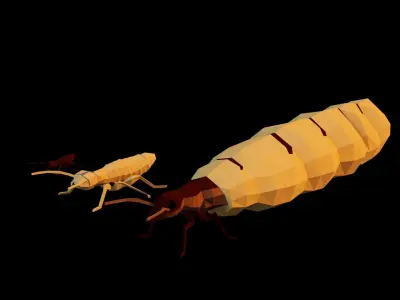Termits two insects Low-poly 3D model