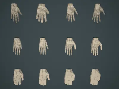 Hands Base Mesh  Low-poly 3D model