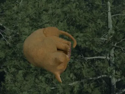 A Cat in woods 3D model