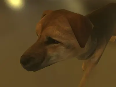 a doggg dog 3D model