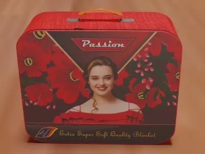 Blanket Bag Free 3D model