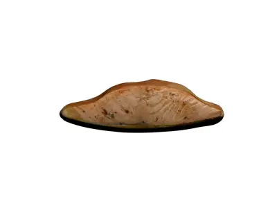Salmon Steak 3D model
