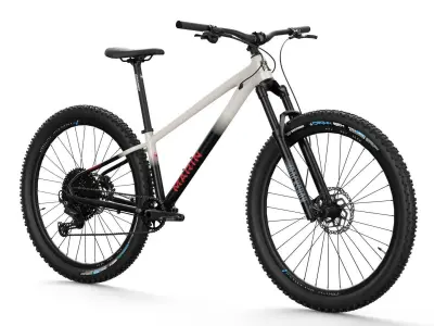 MTB hardtail in white black  Low-poly 3D model