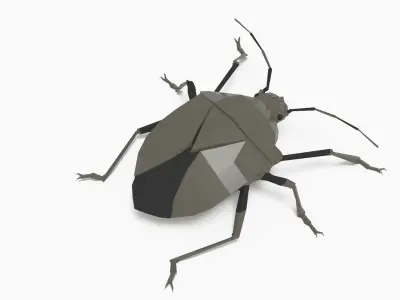 Bug low poly polygonal Low-poly 3D model