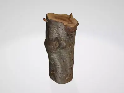 Treetrunk tree trunk 3D model