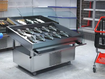  Gilthead Dorado in Stainless Steel Fish Display Counter 