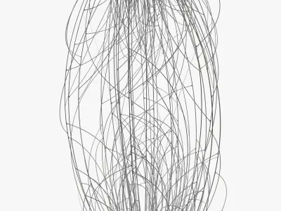 Cable Wie Web 3D model