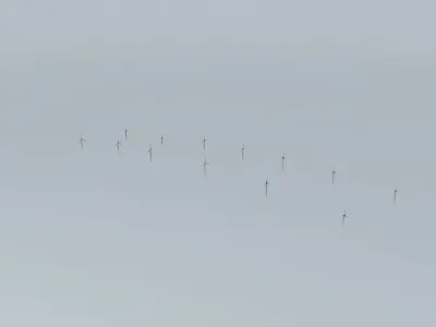 Woolnorth Wind Farm Free 3D model