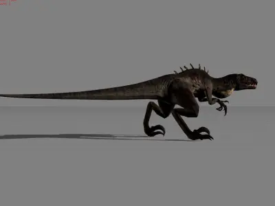 Black Raptor Animal  Low-poly 3D model