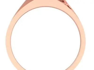 Net  Mens 3d Printable Model GR-34 3D print model