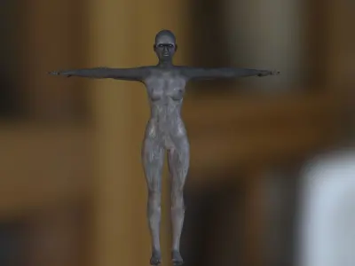 karakter human body 3D model
