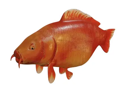 Orange Fish Free low-poly 3D model