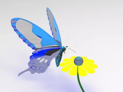 Butterfly 3D model 6