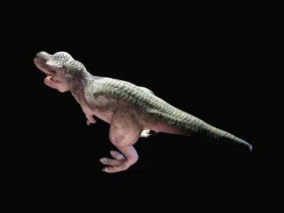 Tyrannosaurus Rex 3D model 4