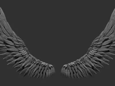 Wings pair of angel Free 3D print model