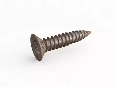Screw 120 3D model