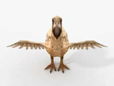 Dodo - Raphus cucullatus Low-poly 3D model