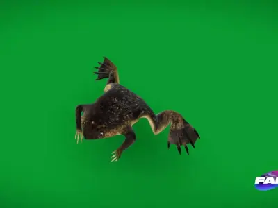 Surinam Toad Free 3D model