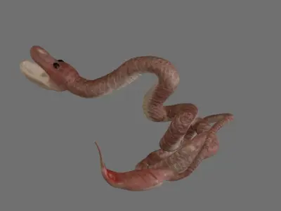 Birthing Snake 3D file Free 3D print model