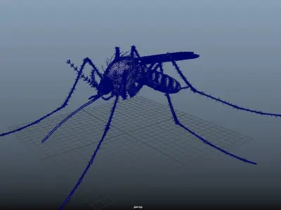 Rigged Black Mosquito 3D model