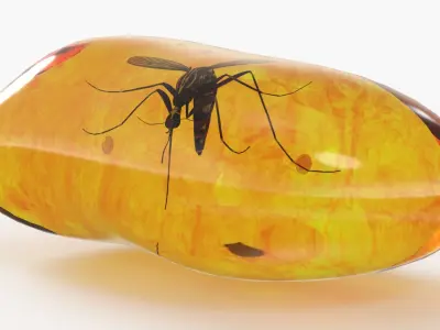 Amber Stone with Mosquito Fossil 3D model