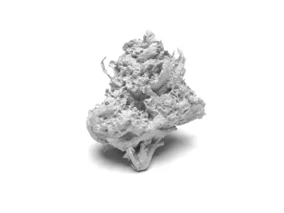 Cannabis Bud 02 3D model