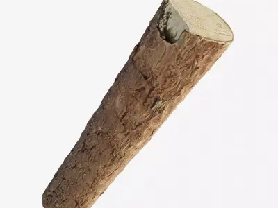Scanned coniferous firewood  Low-poly 3D model