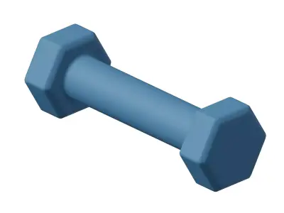 Plastic Hexagonal Dumbbell 3D model