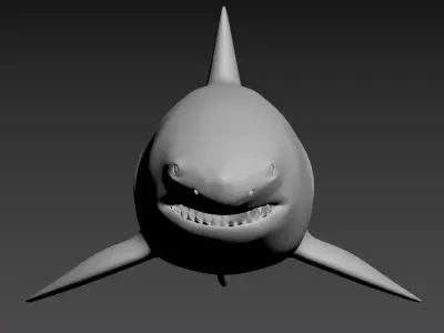 requin shark 3D model