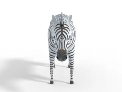 Zebra 3D Model Low-poly 3D model