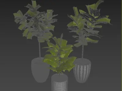 Plant Collection Rpm 07 3D model